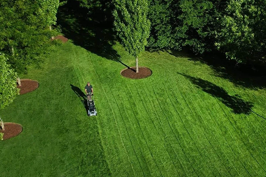 electric walk behind lawn mowers