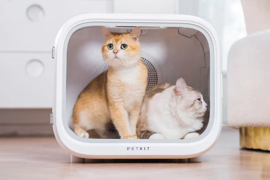 pet dryer box