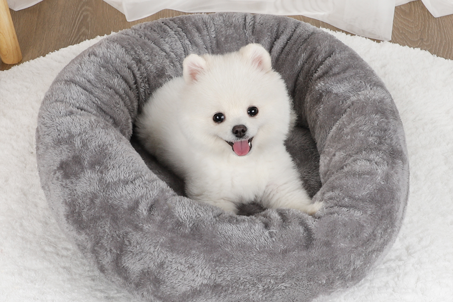 automatic pet drying box