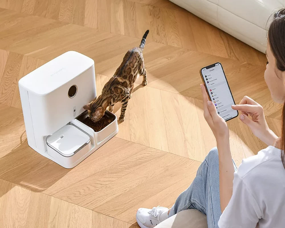 automatic dog feeder station