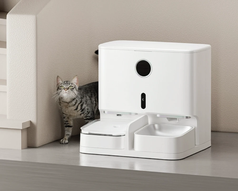 automatic pet feeder for multiple cats